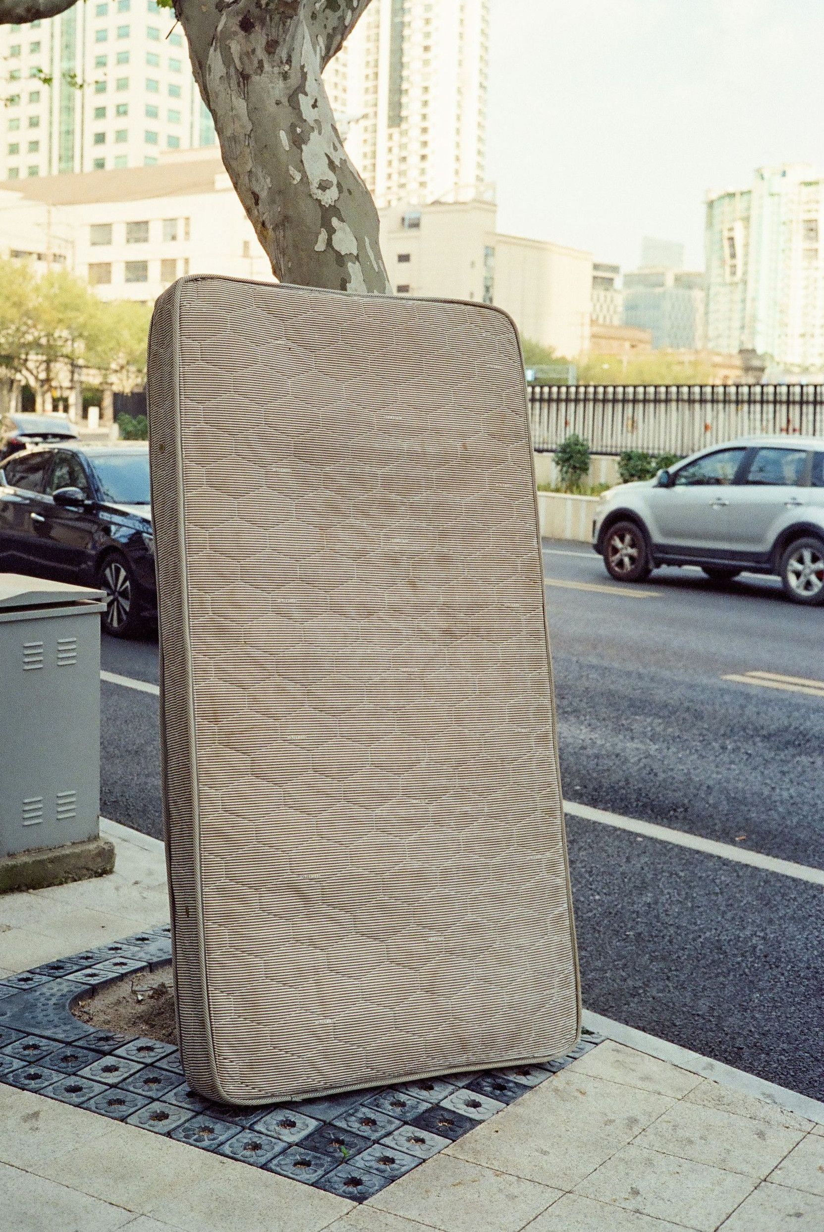 A mattress leans against a tree on the sidewalk.