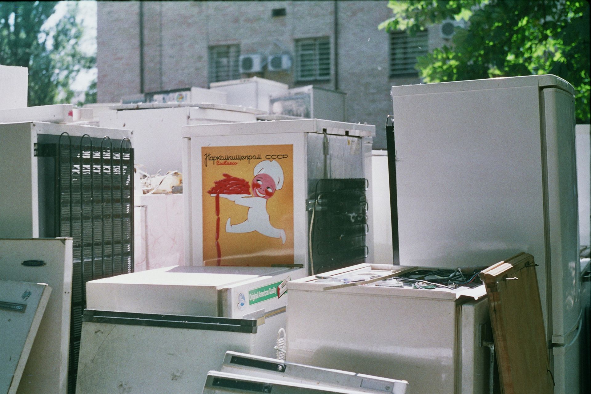 white top mount refrigerator beside white wall